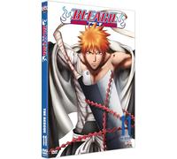Bleach Vol. 11