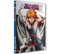 Bleach, vol. 11 [Francia] [DVD]