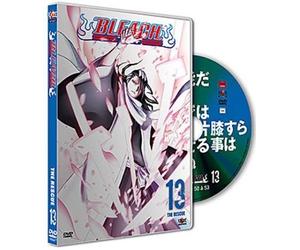 Bleach, vol. 13 [Francia] [DVD]
