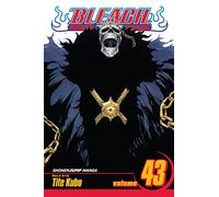Bleach Vol. 43 – Kingdom of Hollows – Manga – Tapa blanda