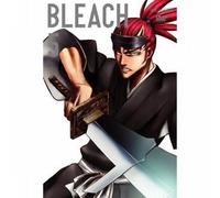 Bleach Vol. 5 - The Substitute/Episoden 17-20 [Alemania] [DVD]