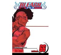 Bleach, Vol. 66: Volume 66 (BLEACH GN)