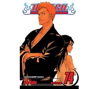 Bleach, Vol. 74: Volume 74 (BLEACH GN)
