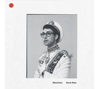Bleachers Gone Now Gold Palate (Vinyl) (Importación USA)