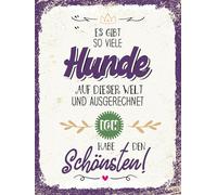 Blechschild 30x40 cm so viele Hunde ich habe den Schönsten Deko Schild