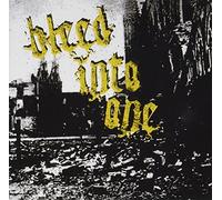 Bleed Into One - The Scars Remain