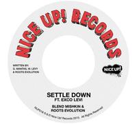 Blend Mishkin & Roots Evolution - Settle Down ft Exco Levi [Vinilo]