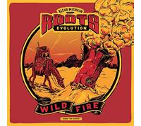 Blend Mishkin & Roots Evolution - Wild Fire [Vinilo]