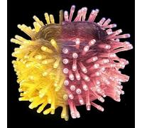 Blendend tira de luces plana de bajo voltaje, flexible, eficiente energéticamente; ideal para decoración y ambientes acogedores.