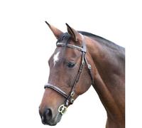 Blenheim - Brida de Mano para Caballos Diseño Stitch de Cuero Fancy