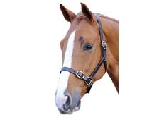 Blenheim Cabezada de Caballos de Cuero Ajustable (ER759)