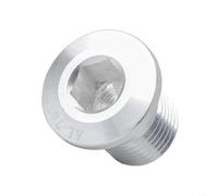 BlesConi 7075 Perno de extensión de suspensión de desviador de aleación de aluminio M10x1.0 Tornillo tensor de cadena de rosca para bicicleta de montaña (plata)