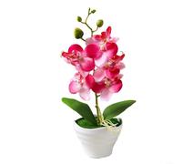 BlesConi Flor de orquídea artificial Phalaenopsis en maceta con hojas de plástico para decoración de mesa, 27 cm de alto (B)