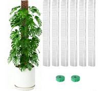 BlesConi Juego de postes de musgo de plástico en forma de D de 24 pulgadas para crecimiento vertical de plantas, soporte semicilíndrico para Monstera y vides, funciona con musgo Sphagnum, paquete de 6