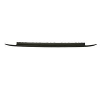 BLIC 5511-00-2013973P Protector para parachoques