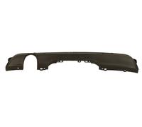 BLIC 5511-00-6001971P Parachoques trasero