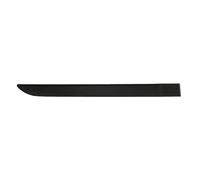 BLIC 5703-04-6042574P Listón embellecedor/protector puerta Atrás derecha negro Compatible con RENAULT Megane 2 Ranchera familiar KM0/1 Megane 2 Coupé-Cabriolet EM0/1 Megane 2 BM0/1, CM0/1