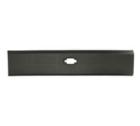 BLIC 5703-06-6089573P Listón embellecedor / protector, panel lateral