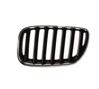 BLIC 6502-07-0095995P Rejilla delantera cromo/negro Compatible con BMW X5 E53