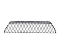 Rejilla del parachoques delante negro 6502-07-2533992CC BLIC para FORD FOCUS II