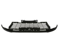 BLIC 6502-07-6047910P Rejilla delantera