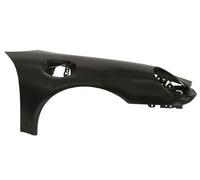 BLIC 6504-04-5791312P Guardabarros Delante, derecha Compatible con PORSCHE 911 997 911 Descapotable 997 911 Targa 997 911 Speedster 997