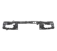 BLIC Entrada Superior Parachoques Montaje Travesaño Rejilla Ford C-MAX 2004-2015
