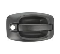 BLIC Manecilla de puerta 6010-07-038401P Delante, izquierda Compatible con FIAT Ducato Camión de plataforma/Chasis 250, 290 Ducato Bus 250, 290 Ducato Furgón 250, 290 DUCATO Autobús 244, Z, PEUGEOT