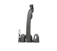 BLIC Manilla de puerta 6010-09-049407P delante y detrás ambos lados Compatible con RENAULT KANGOO Express FW0/1 Kangoo 2 / Grand Kangoo KW, KW0/1 KANGOO KC0/1 KANGOO BE BOP KW0/1