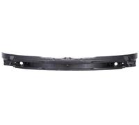 BLIC Soporte Refuerzo Delantero Para Parachoques Para PEUGEOT 406 12.99-12.04