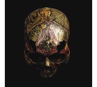 Blight - Temple Of Wounds [Vinilo]