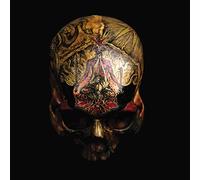 Blight - Temple Of Wounds [VINYL] [Vinilo]