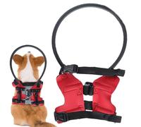 Blind Dog Bumper, Protective Pet Collar, 8,66 pulgadas Ligero y cómodo, Sturdy Pet Friendly Materials Training Safety Bumper for Dogs at Home and Outdoors (Blue, Red)