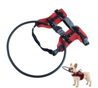 Blind Pet Safety Harness - Impaired Dog Guide Support Collar for Mobility | Reflective Nylon with Frame Ring, Adjustable Strap Walking for Training Outdoor Use Aid
