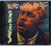 Blind Willie Mctell - Traveling Blues