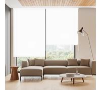 Blindecor Ara | Estor enrollable translúcido liso - Blanco, 100 x 175 cm (ancho por alto) | Tamaño de la Tela 97 x 170 cm | Estores para ventanas