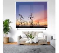 Blindecor Digital | Estor Enrollable Translúcido Estampado |Familia Paisaje| Modelo P-ALBUFERA | 170 x 180 cm (Ancho por Alto) Tamaño de la Tela 166 x 175 cm | Estores para Ventanas