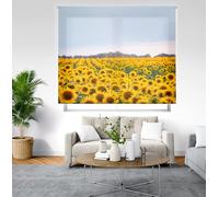 Blindecor Digital | Estor Enrollable Translúcido Estampado |Familia Paisaje| Modelo P-CAMPOGIRASOLES | 110 x 180 cm (Ancho por Alto) Tamaño de la Tela 106 x 175 cm | Estores para Ventanas