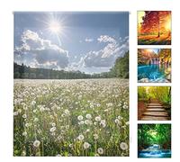 Blindecor Digital Paisajes | Estor Enrollable Translúcido con Estampado Impresión Digital | 150 x 180 cm (ancho por alto) Tamaño de la Tela 147 x 175 cm | Estores para Ventanas