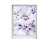 Blindecor Easy estores sin taladrar Estampados - Estor translúcido Estampado Digital, Calma, 100 x 150 cm (Ancho por Alto). Tamaño de la Tela 97 x 145cm