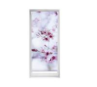 Blindecor Easy estores sin taladrar Estampados - Estor translúcido Estampado Digital, Calma, 65 x 150 cm (Ancho por Alto). Tamaño de la Tela 62 x 145cm, Relax, Estampado Easyfix Relax