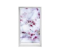 Blindecor Easy estores sin taladrar Estampados - Estor translúcido Estampado Digital, Calma, 85 x 150 cm (Ancho por Alto). Tamaño de la Tela 82 x 145cm