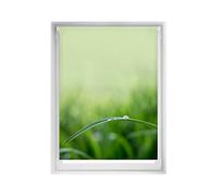 Blindecor Easy estores sin taladrar Estampados - Estor translúcido Estampado Digital, Quietud, 100 x 150 cm (Ancho por Alto). Tamaño de la Tela 97 x 145cm