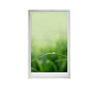 Blindecor Easy estores sin taladrar Estampados - Estor translúcido Estampado Digital, Quietud, 90 x 150 cm (Ancho por Alto). Tamaño de la Tela 87 x 145cm