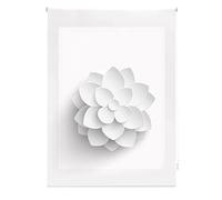 Blindecor Flores | Estor Enrollable Translúcido con Estampado Impresión Digital | Modelo Flower | 130 x 180 cm (ancho por alto) Tamaño de la Tela 127 x 175 cm | Estores para Ventanas