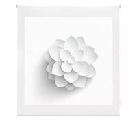 Blindecor Flores | Estor Enrollable Translúcido con Estampado Impresión Digital | Modelo Flower | 170 x 180 cm (ancho por alto) Tamaño de la Tela 167 x 175 cm | Estores para Ventanas