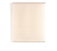 Blindecor Iris Estor Enrollable Translucido Rayado, Tela, Marfil, 100 x 180 cm