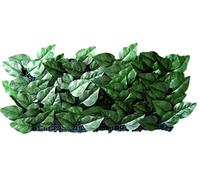 Blinky 7970510 siempre verde, poliéster