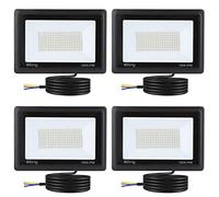 Blivrig 4PCS Focos LED Exterior 100W, 6000K Blanco Frío, 10000LM Foco Proyector LED, Luz Exterior IP66 Impermeable, Floodlight para Casa, Garaje, Patio, Terraza, Campo