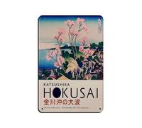 BLJKHTGG Póster retro de metal con texto en inglés "Clear Wind and Bright Sun" (2 unidades), arte elegante, pintura de hierro, bar, cueva de personas, cafetería, garaje familiar, póster decorativo de